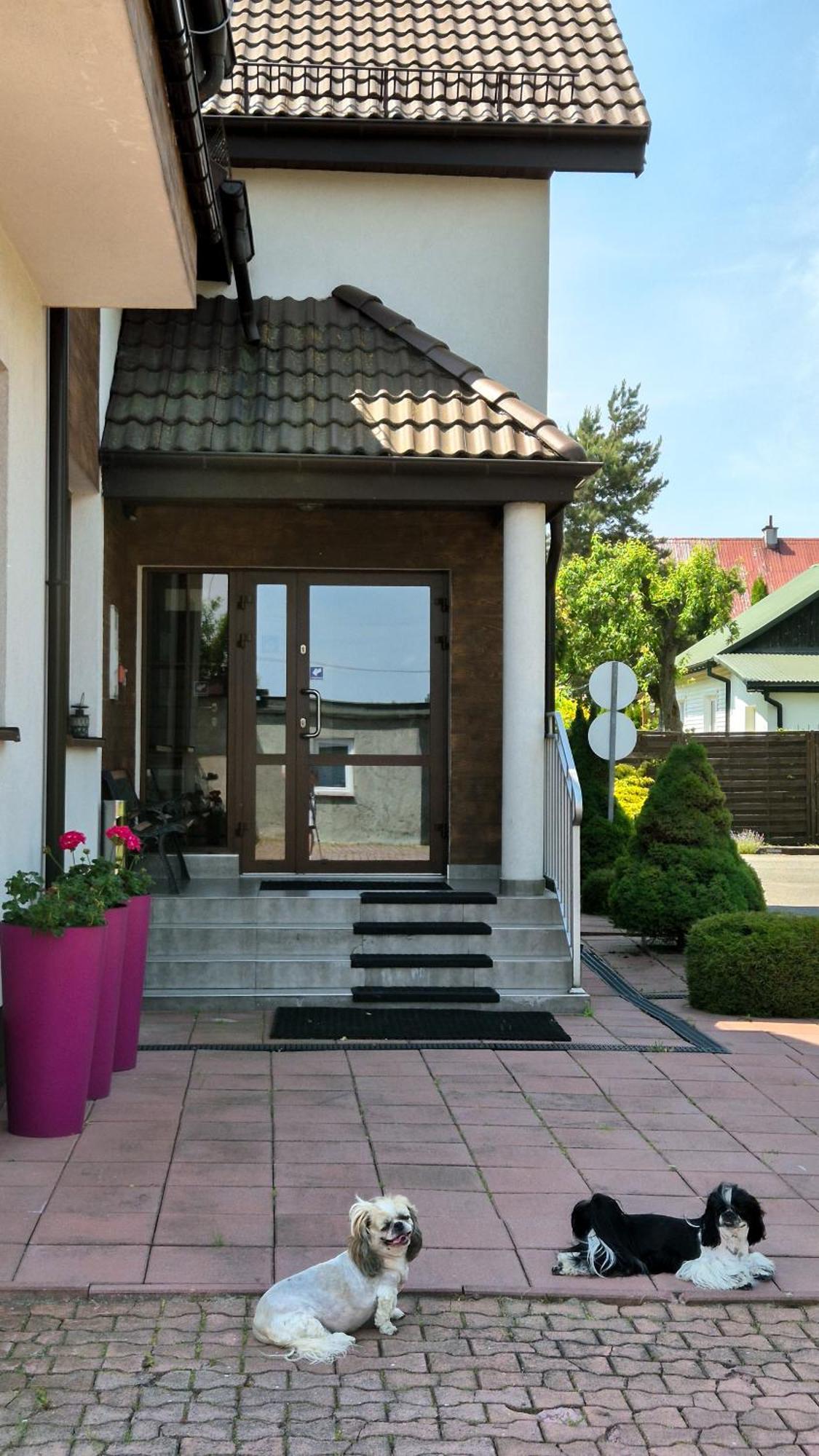 Noclegi Pod Lasem Lublin Exterior photo